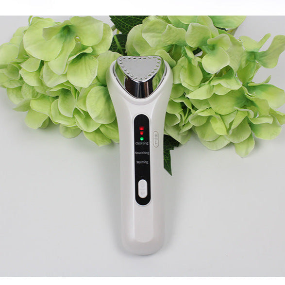 Home Facial Beauty Instrument Maxum